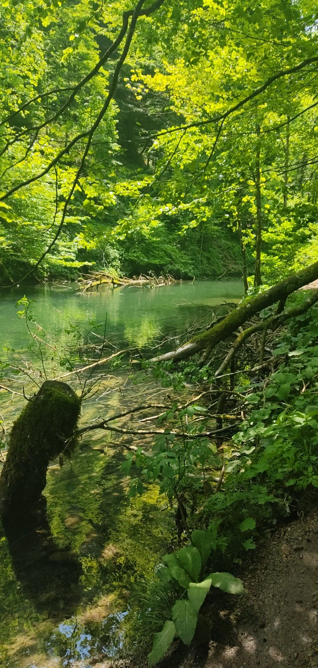 Kamačnik & Vrbovsko