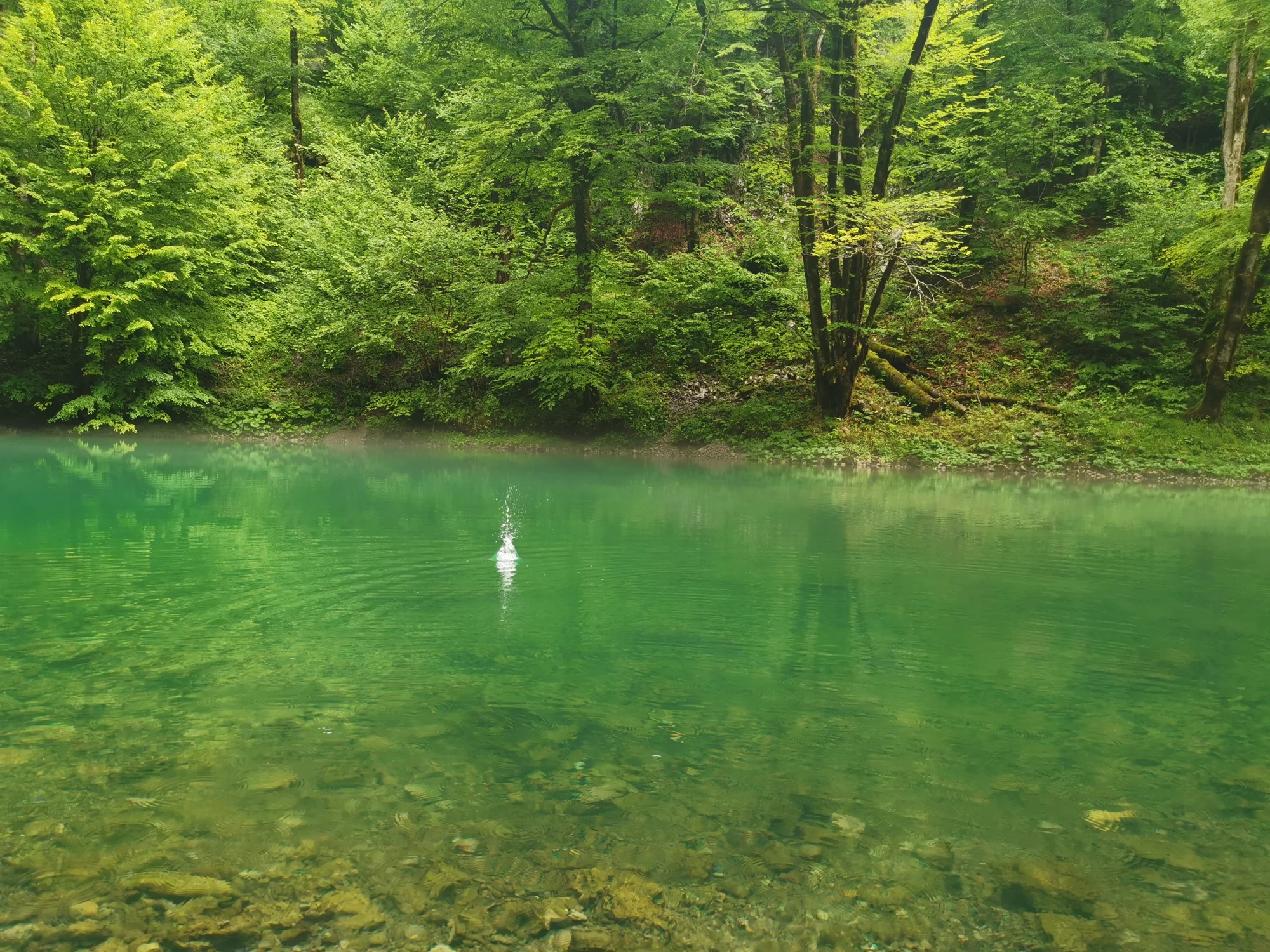 Kupa source · Risnjak